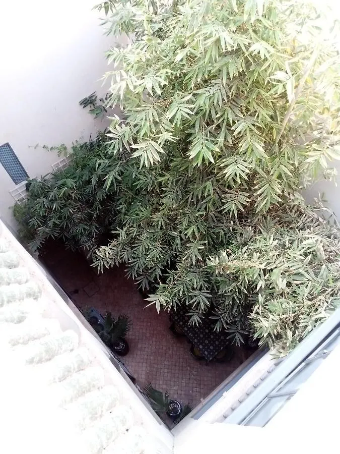 リヤド 103Riad Pool Rooftop & Hammam マラケシュ